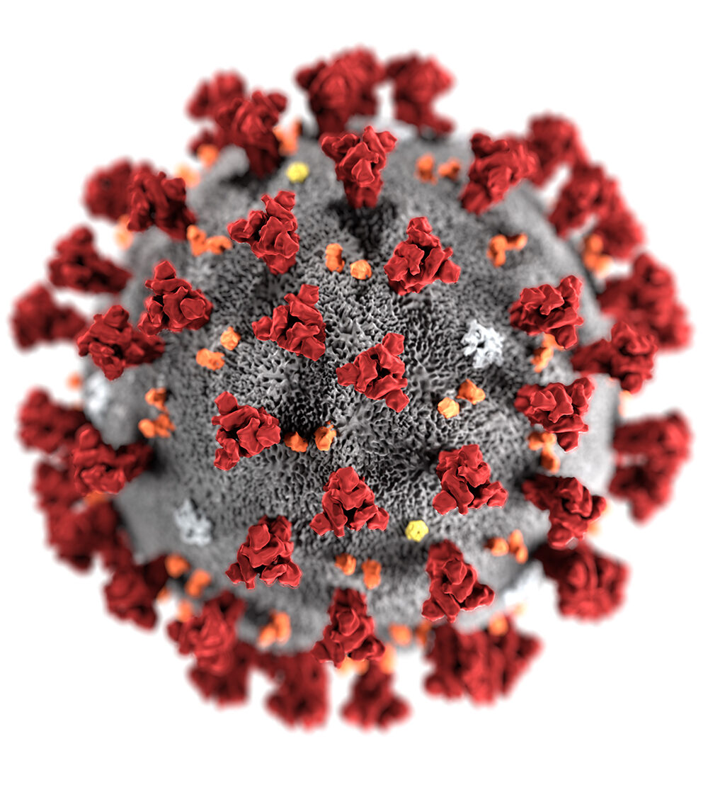 Nelson-and-Company-Coronavirus-CDC